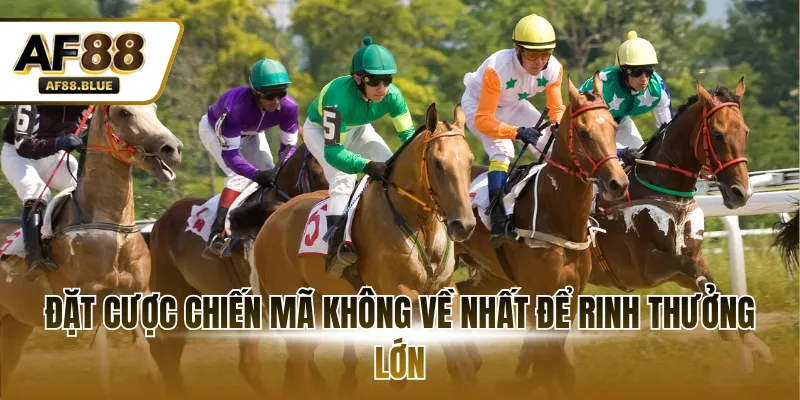 Đặt cược chiến mã không về nhất để rinh thưởng lớn