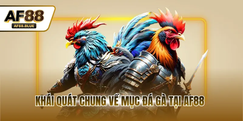 Khái quát chung về mục đá gà tại AF88