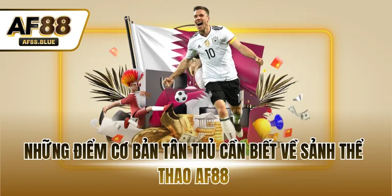 Những điểm cơ bản tân thủ cần biết về sảnh thể thao AF88